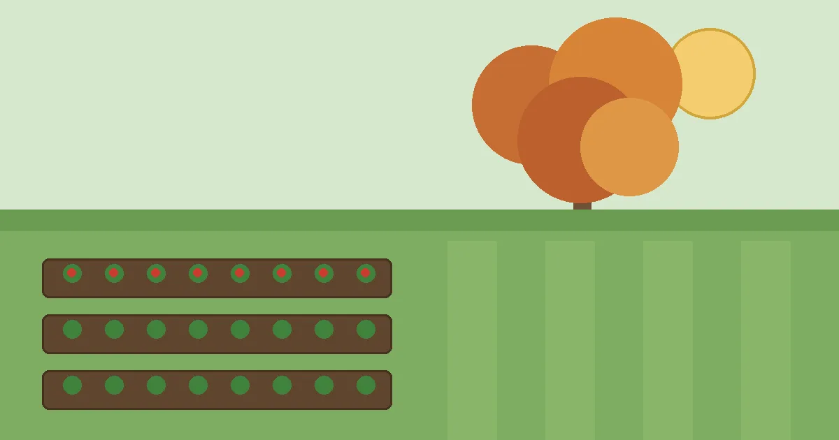 Illustration in gardening-manual style of a Zone 5b Ontario backyard: raised vegetable beds with tomato plants, a green lawn, and a maple tree turning fall colours